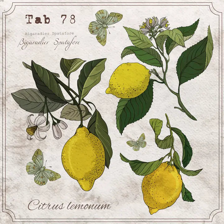 Lemon Botany Cocktail Napkins