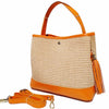 Techa Raffia & Leather Crossbody Bag